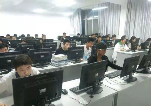 指尖創(chuàng)富 電子商務(wù)專(zhuān)業(yè)的數(shù)字未來(lái)與無(wú)限可能